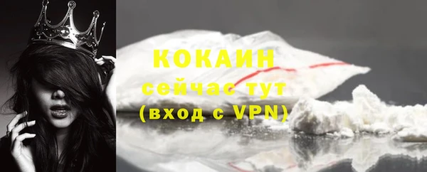 гашик Бородино